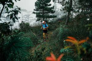 BIB: 
                            <button type="button" onclick="openModal(25257742)" class="btn btn-primary btn-sm float-right btn-popup" data-toggle="modal" data-target=".modal-high-quality">
                        <i class="fas fa-shopping-cart"></i> Add to Cart
                    </button>
                                            <button type="button" onclick="isThisMe(25257742, true)" class="btn btn-success btn-sm float-right btn-popup btn-isme hidden" data-toggle="tooltip" data-placement="bottom" title="นี่คือรูปของคุณใช่ไหม คลิกที่นี่เพื่อเอาเข้าอัลบั้ม">
                        <i class="fas fa-plus"></i> Add to album
                    </button>
                    <button type="button" onclick="isThisMe(25257742, false)" class="btn btn-warning btn-sm float-right btn-popup btn-isnotme hidden">
                        <i class="fas fa-ban"></i> Remove from album
                    </button>